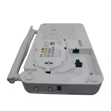 ONU Router Downside